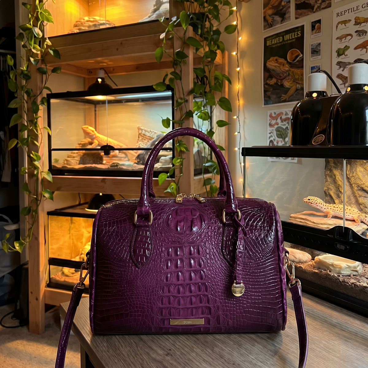 Croc Handbags